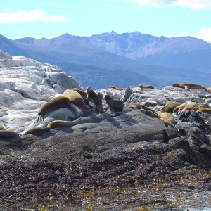 Ushuaia, Argentina