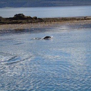 Ushuaia, Argentina