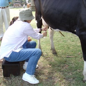 Uruguay, Montevideo - 29 ΦΕΒΡΟΥΑΡIΟΥ 2004