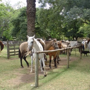 Uruguay, Montevideo - 29 ΦΕΒΡΟΥΑΡIΟΥ 2004