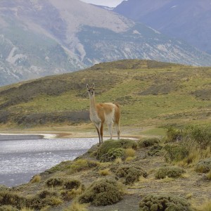 Torres del Paine National Park, Chile