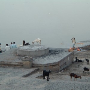 Varanasi. Η κάυση των νεκρών δίπλα στον ιερό ποταμό Γάγγη. (Οι φωτογραφίες