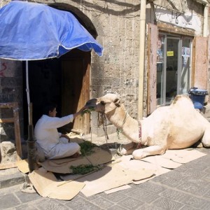 Παλιά πόλη της Σαναά