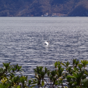 Lake Lugano, Switzerland