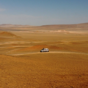 ..Paracas..Peru...