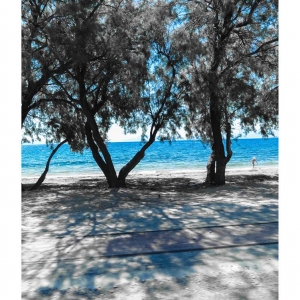 Στον δρόμο για το Πήλιο