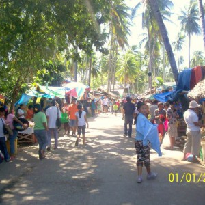 Negros island