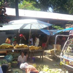 Negros island