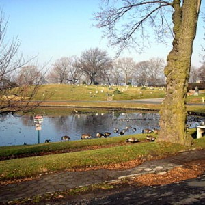 Greenwood cemetery in Brooklyn