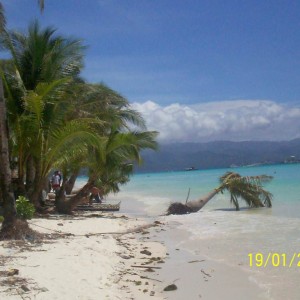 Boracay cocopalm kiss