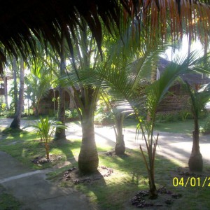 Bantayan island-Kota beach