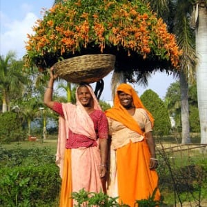 Udaipur - India