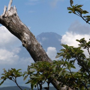 Japan-Fuji...