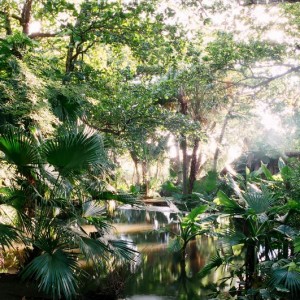 Gazella park
