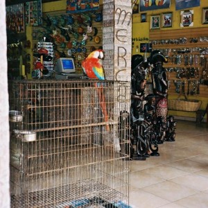 Boca chica souvenir shop