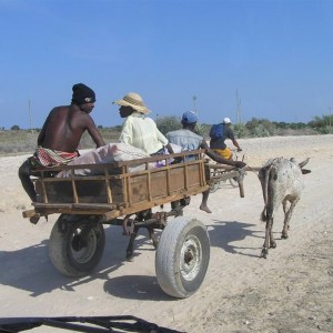 madagascar
