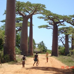 Μαδαγασκαρη