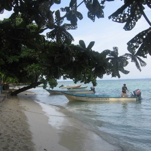 Water-taxi anyone?