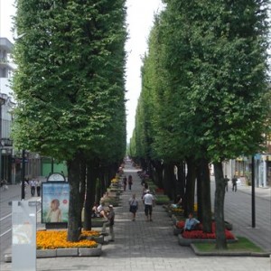 kaunas