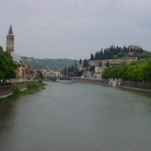 DSC00695