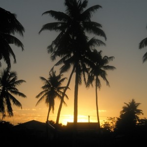 view outside our villa