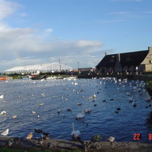 Galway και γύρω