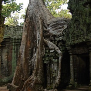 Ta Prohm, Καμπότζη