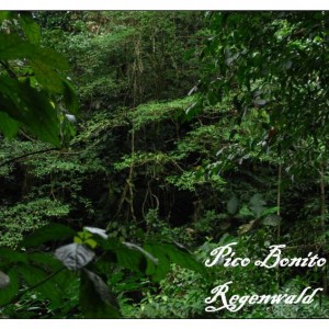 Rainforest Pico Bonito Ονδουρας