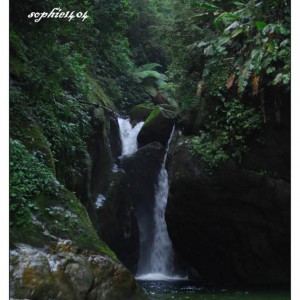 Rainforest Pico Bonito Ονδουρας