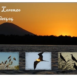 San Lorenzo Birdwatching Tour