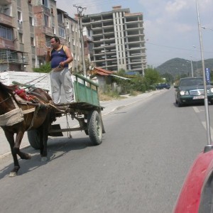 Τίρανα