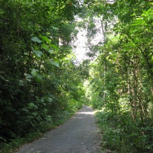 Tαιλανδη Koh chang