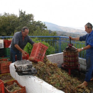 Στα χωριά της Νότιας Καρυστίας