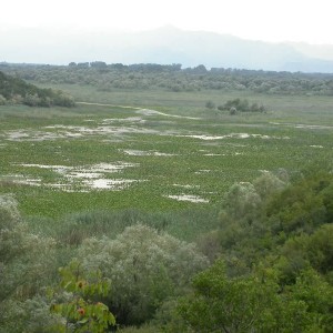 Προστατευμένος υδροβιότοπος στο νότιο μέρος της χώρας