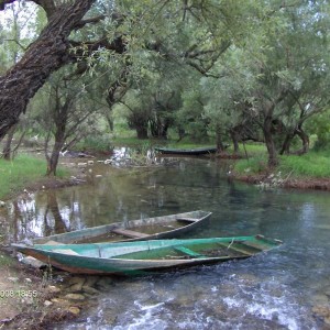 Μια όαση δροσίας