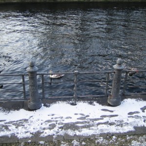 Spree River