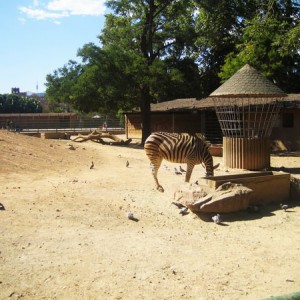 Barcelona Zoo
