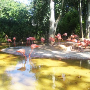 Barcelona Zoo