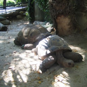 Barcelona Zoo