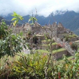 Machu Pichu