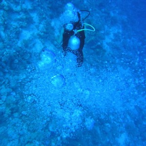 south red sea-saint johns reefs