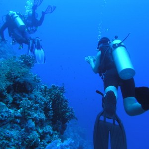 south red sea-saint johns reefs