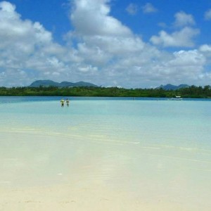 ILE AUX CERFS