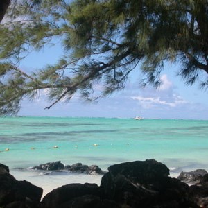 ILE AUX CERFS