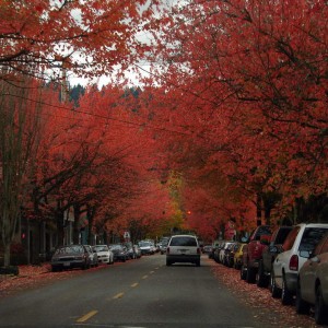 Φθινοπωρινό Portland