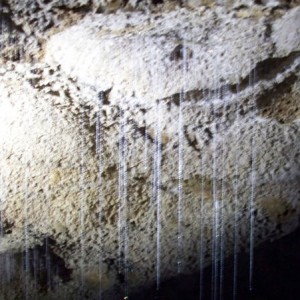 waitomo caves