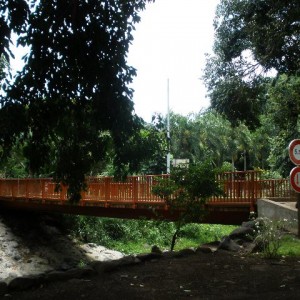 P3090650_640x480
