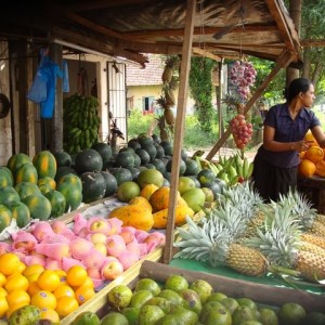 Εξωτικά φρούτα σε υπαίθριο πάγκο στο δρόμο προς Dambulla