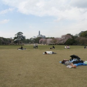 Στους κήπους του αυτοκρατορικού παλατιού, Tokyo