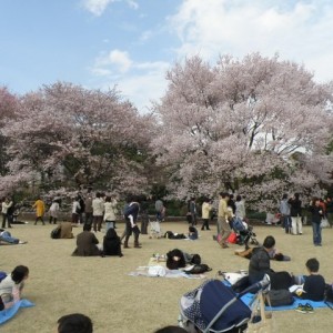 Κήποι αυτοκρατορικού παλατιού, Tokyo